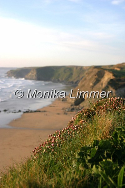 7750_kueste watergate_.jpg